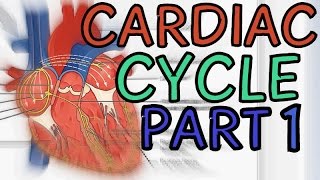 Biology Help The Cardiac Cycle  Volumes Systole Diastole Atria Ventricles  Part 1 [upl. by Weitzman]