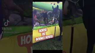 HORSE AND A BOUNCE HOUSE eleanorfarm horsesoftiktok horse fypシ゚viral bombproof bouncehouse [upl. by Laszlo685]