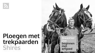 Ploegen met trekpaarden en Shires met Marc Cools  Beginnen met erfgoed 111  ikwashierlive [upl. by Ramon]