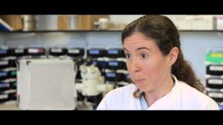 Veterinary Microbiology MSc at the University of Surrey [upl. by Muire]