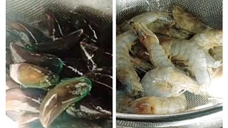 Seafoods Cleaning Mussels and shrimps🦐 viral trending seafoodslover [upl. by Magill]