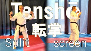 Tensho Kata Tom Straphel Shukokai Karate [upl. by Swan960]