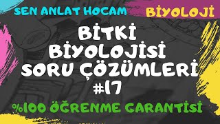 BİTKİ BİYOLOJİSİ SORU ÇÖZÜMLERİ 17  AYT BİYOLOJİ  ✅ [upl. by Ahsias]