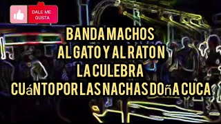 karaoke Banda Machos  Popurri para bailar [upl. by Saffier556]