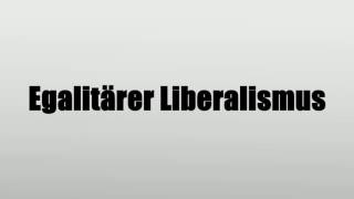 Egalitärer Liberalismus [upl. by Ferro]