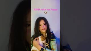 ASMR with my Puppy LoFi [upl. by Naujal]