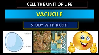 VACUOLEENDOMEMBRANOUS SYSTEMneet2024 ncert biology [upl. by Aneras844]