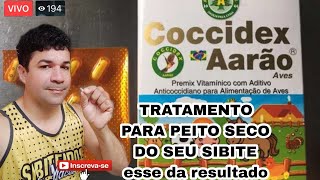 sibite Como tratar peito seco com coccidex Aarão [upl. by Lawley]