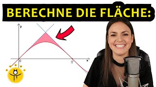 Mathe ABITUR Analysis – Aufgabe Integralrechnung [upl. by Admana]