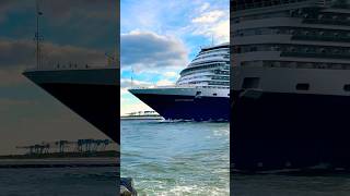 MS Rotterdam 🛳️⚓️like share comment subscribe cruiseship cruise vacation shorts short wow [upl. by Eeladnerb]