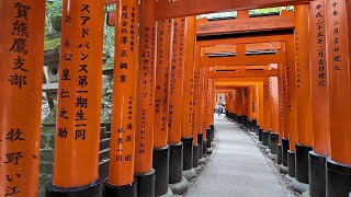 Kyoto a cidade dos templos [upl. by Anaig383]