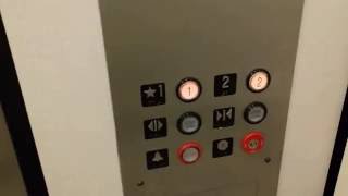 Ceder Hydraulic Elevator  JCPenney  Mall St Mathews  Louisville KY [upl. by Roxana]