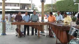 marimba municipal de tapachula en el parque [upl. by Ellsworth]