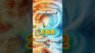 Angel number 222 meaning in Twinflame journey hindi angelnumbers twinflame shorts [upl. by Notsla]