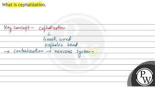 What is cephalization [upl. by Taro525]