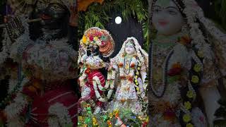 Radharaman ji at bvggurukul shortvideo shorts radharaman [upl. by Nurse]