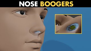 What Are Nose Boogers  Function Of Boogers In Nose [upl. by Eninej986]