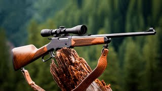 Most Accurate 22 Rifles You Should Buy in 2024 [upl. by Akinorev]