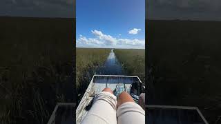 airboating the Everglades [upl. by Haneekas352]