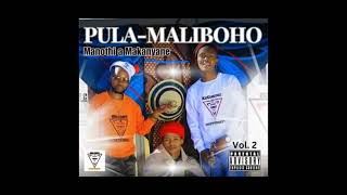 Makanyane Stuff Phumelela Official Audio [upl. by Gnagflow520]