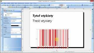 Kurs NiceLabel 01  Tworzenie etykiety podstawy [upl. by Ainex317]