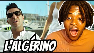 FIRST TIME REACTING TO LAlgérino  BRAVOOOO FRENCH RAP [upl. by Atte]