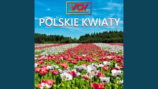 Polskie Kwiaty [upl. by Zeiger]