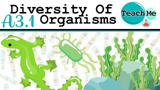 A31  Diversity Of Organisms  IB Biology SLHL [upl. by Danielle]