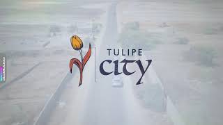 TULIPE CITY [upl. by Ahsenaj]