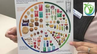 Overview of the Australian Guide to Healthy Eating [upl. by Llesirg]