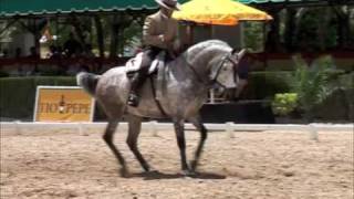 25º Final Doma Vaquera Nacional Jerez de La Frontera [upl. by Antsirhc618]