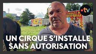 Un cirque et ses animaux sauvages sinstalle sans autorisation en ville [upl. by Odlanor962]