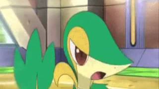 Pokemon Snivy and Emolga AMV Tik Tok [upl. by Canute]