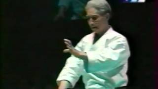 Sensei Hidetaka Nishiyama Hangetsu y bunkai ITKF 2000 [upl. by Gaughan]