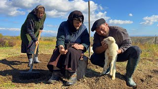 Finding Peace in the Caucasus Mountains A Simple Rural Lifestyle [upl. by Nymsaj]