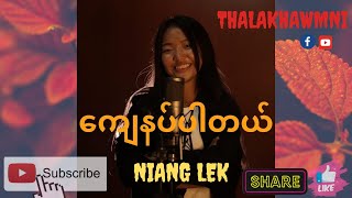 ကျေနပ်ပါတယ် COVER Sa  Niang Lek Guitar  Angel khaino [upl. by Nodnarg]