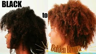 Black to Light Golden Brown  How I Dyed My Hair [upl. by Zennie]