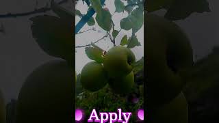 Apply 🍎🍎🍎shrat video deepak raj fitness 🍎🍎 [upl. by Amathist]