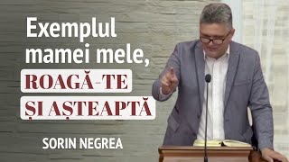 Sorin Negrea  Exemplul mamei mele roagăte și așteaptă  PREDICĂ 2024 [upl. by Cutter683]