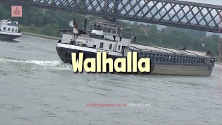 WALHALLA ENI 04400250 Inland Motor Freighter Frachtschiff Vrachtschip Binnenschiffe auf dem Rhein [upl. by Naquin]