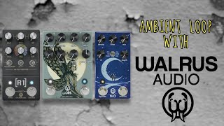 AMBIENT LOOP with WALRUS SLO LORE R1  Alfonso Corace [upl. by Karil]