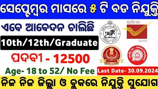 Top 5 Govt Jobs in September Month  September Month Top Government Jobs  Odisha Govt Jobs 2024 [upl. by Nangatrad911]