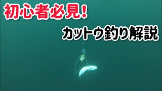 【敷嶋丸】初心者必見☆ふぐカットウ釣り水中動画❗️でかフグつれてます‼️〜後編〜 [upl. by Four]