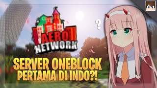 REVIEW SERVER MINECRAFT SERVER ONEBLOCK PERTAMA DI PUBLIK   AERONETWORK INDONESIA [upl. by Mailand955]