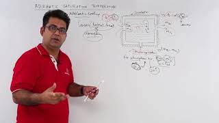 Adiabatic Saturation Temperature [upl. by Rome]