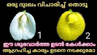 ഒരു ദുഃഖം പറഞ്ഞ് തുറക്കൂ നിങ്ങൾ ചോദിക്കുന്നത് നടക്കുമോ ഇല്ലയോ എന്നറിയാം [upl. by Imiaj]