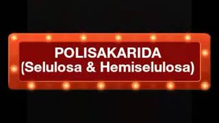 Polisakarida Selulosa amp Hemiselulosa [upl. by Lesya538]