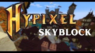 Minecraft Hypixel Skyblock [upl. by Ruthie]