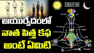 వాత పిత్త కఫ అంటే ఏమిటి  Knowledge of Vata Pitta Kapha Ayurvedic Dosha in Telugu  TV5 Health [upl. by Balling]