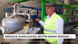 ANTALYA Kumlucada zeytin sıkma sezonu başladı [upl. by Ute]